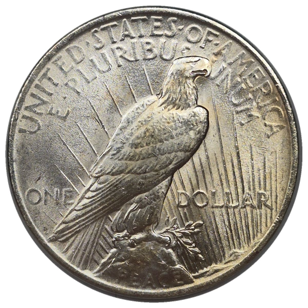 1922-$1-Peace-Dollar-#5---6-Of-142